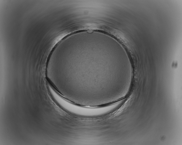 X0000099311081200805021308