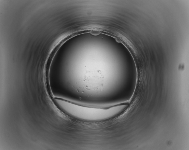 X0000099311082200805021308