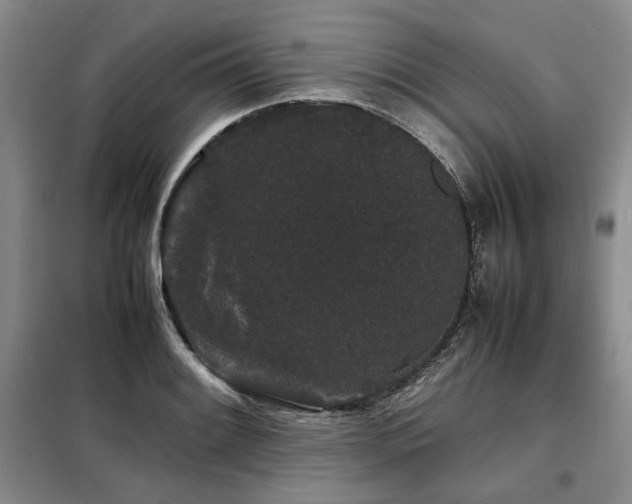 X0000099311084200805021308