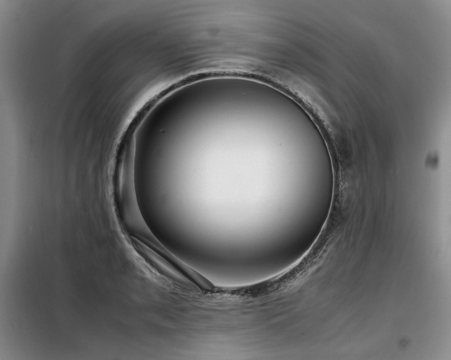 X0000099311085200805021308