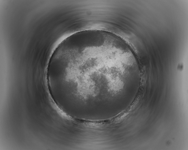 X0000099311086200805021308