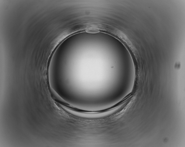 X0000099311089200805021308