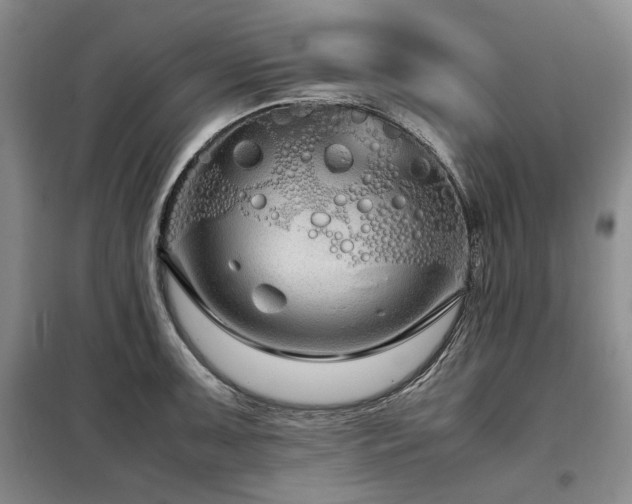X0000099311091200805021308
