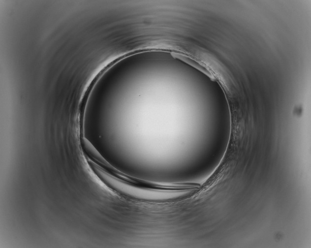X0000099311092200805021308