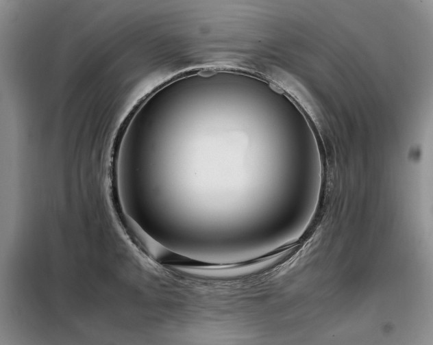 X0000099311093200805021308