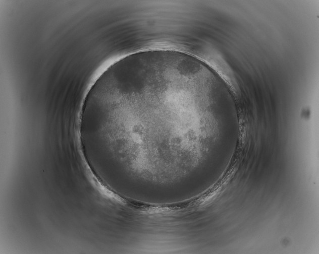 X0000099311094200805021308