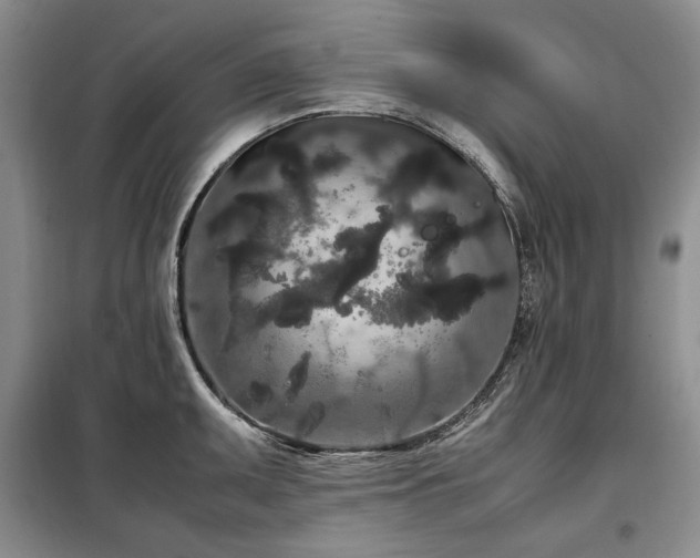 X0000099311095200805021308