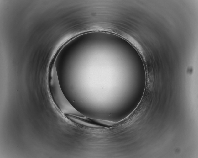 X0000099311096200805021308