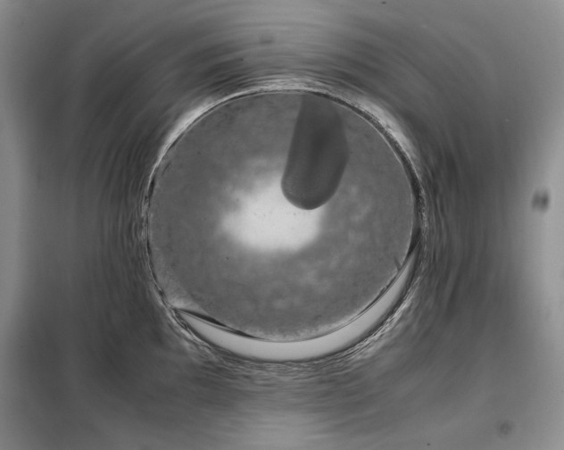 X0000099311097200805021308