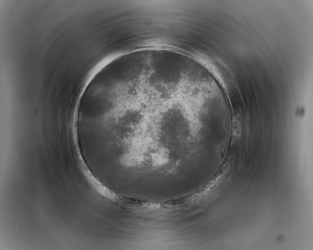 X0000099311098200805021308