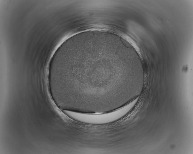 X0000099311099200805021308