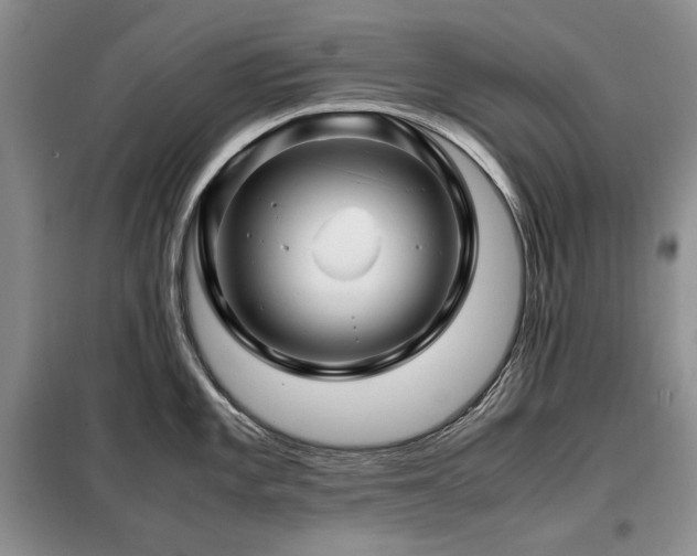 X0000099311101200805021308