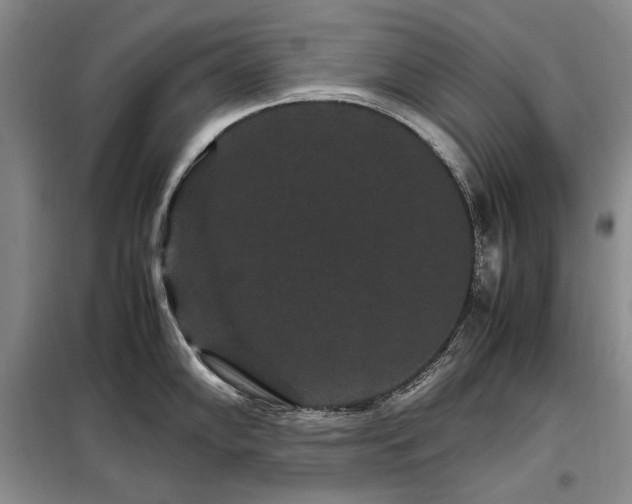 X0000099311102200805021308