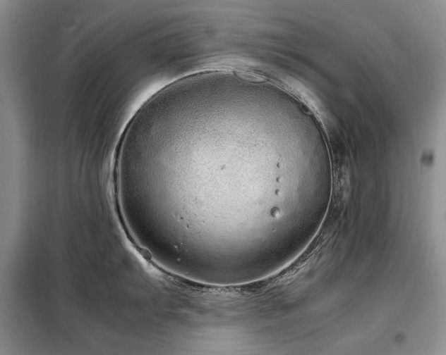 X0000099311103200805021308