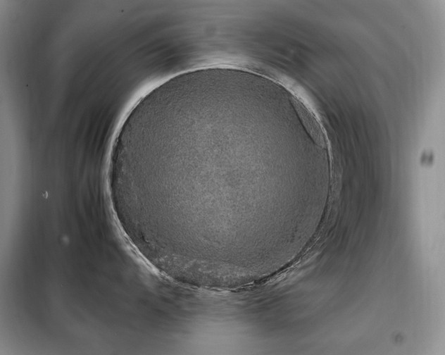 X0000099311104200805021308