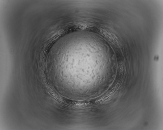 X0000099311105200805021307