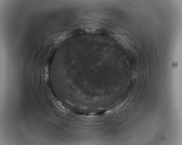 X0000099311106200805021307
