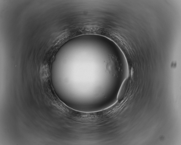 X0000099311107200805021307
