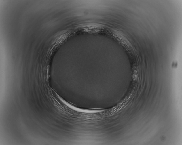X0000099311108200805021307