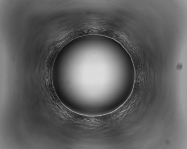 X0000099311109200805021307