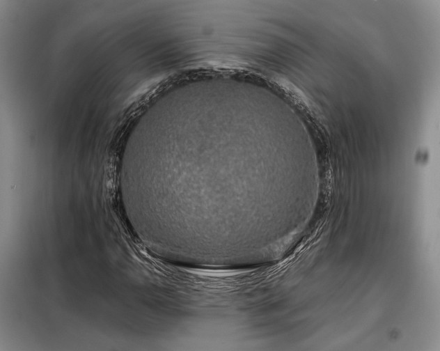 X0000099311110200805021307
