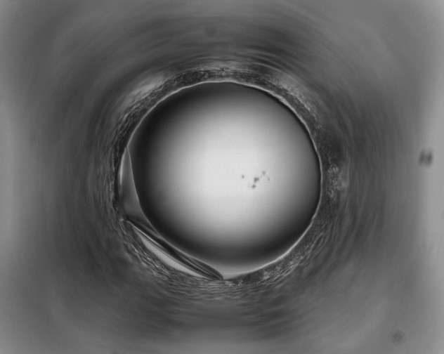 X0000099311111200805021307