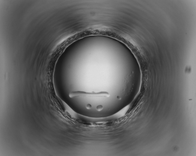 X0000099311112200805021307