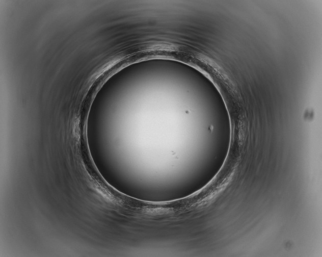 X0000099311113200805021307