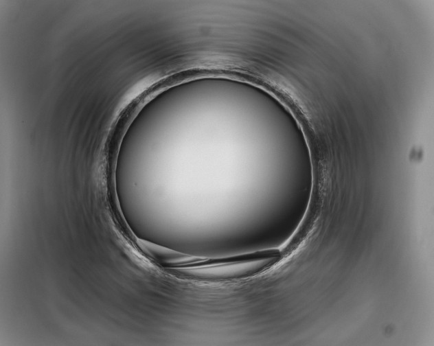 X0000099311114200805021307