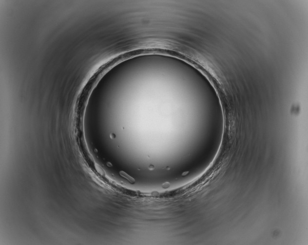 X0000099311116200805021307