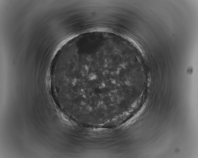 X0000099311117200805021307