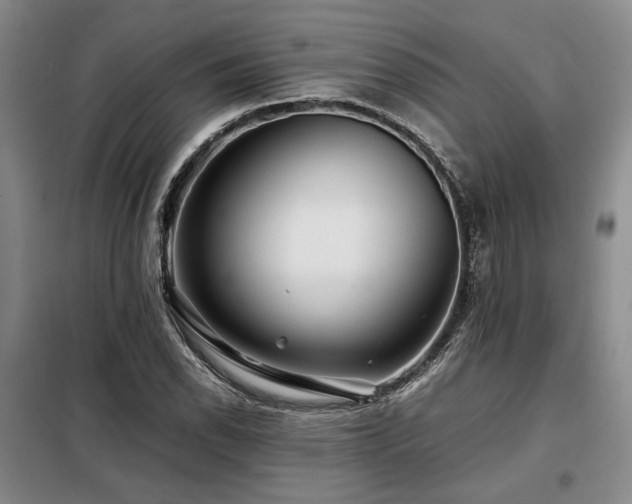 X0000099311118200805021307