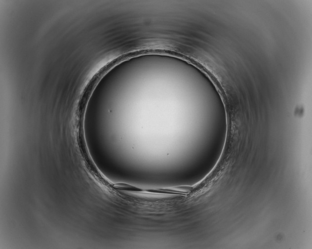 X0000099311119200805021308
