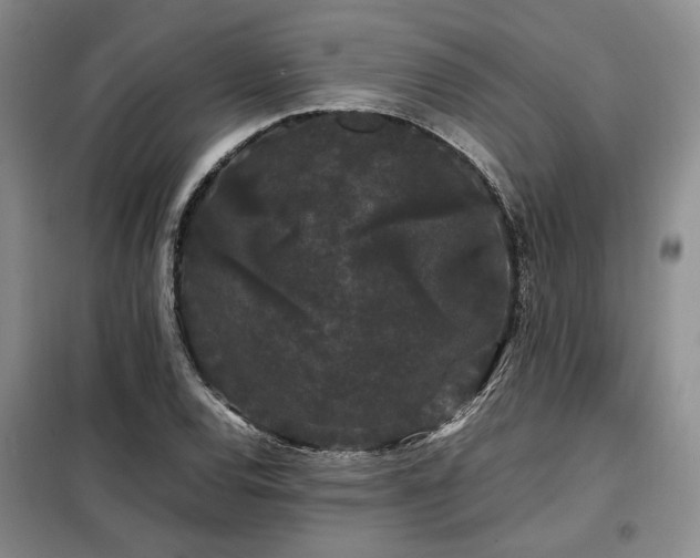 X0000099311120200805021308