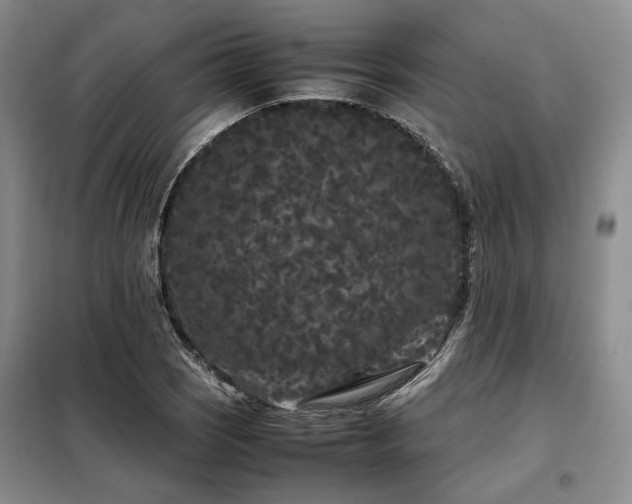 X0000099311121200805021308