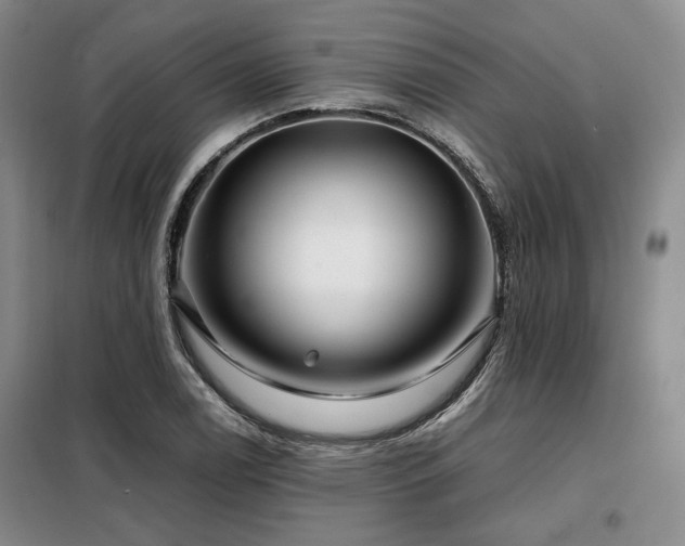 X0000099311122200805021308
