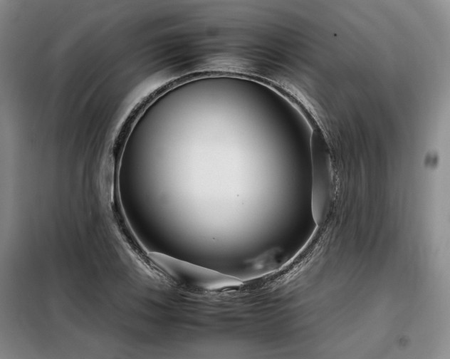 X0000099311123200805021308