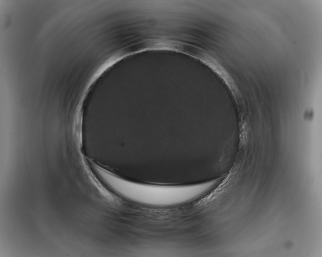 X0000099311127200805021308
