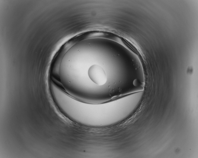 X0000099311128200805021308
