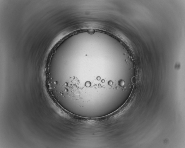 X0000099311130200805021308
