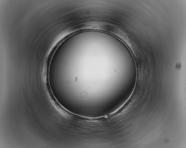X0000099311131200805021308