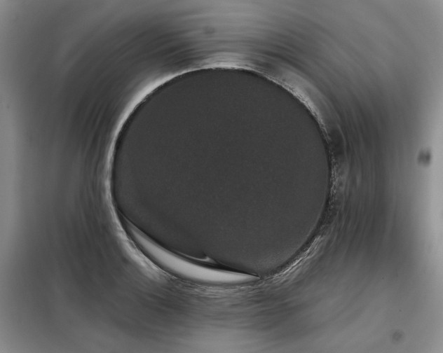 X0000099311132200805021308