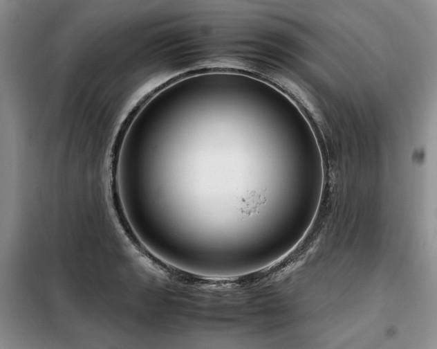 X0000099311133200805021308