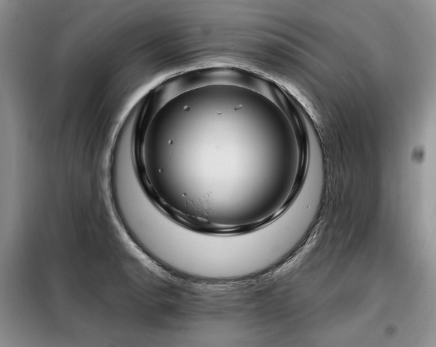 X0000099311134200805021308