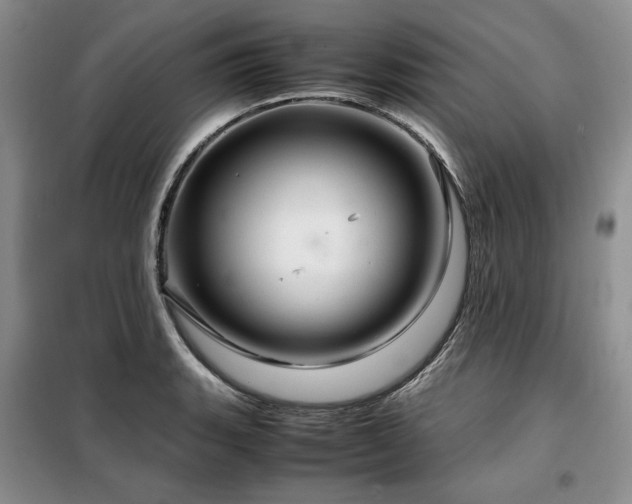 X0000099311135200805021308