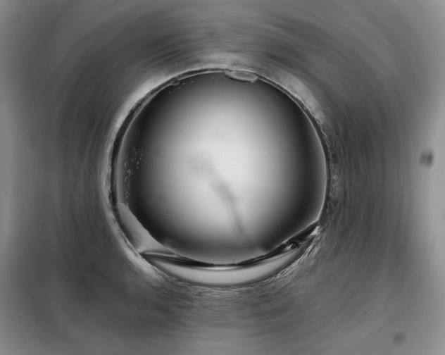 X0000099311136200805021308