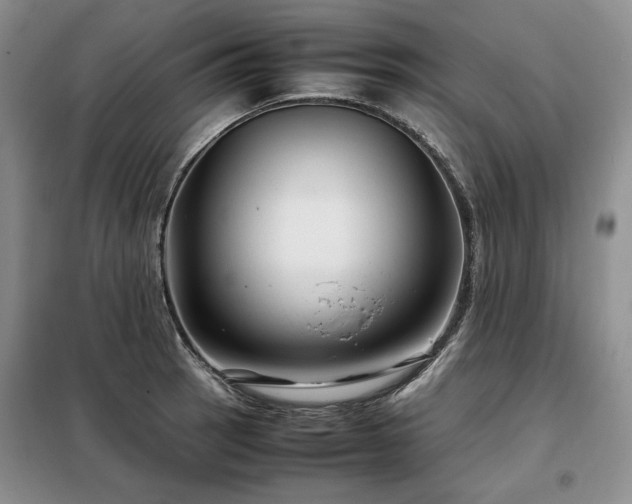 X0000099311137200805021308