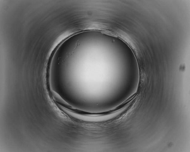 X0000099311138200805021308