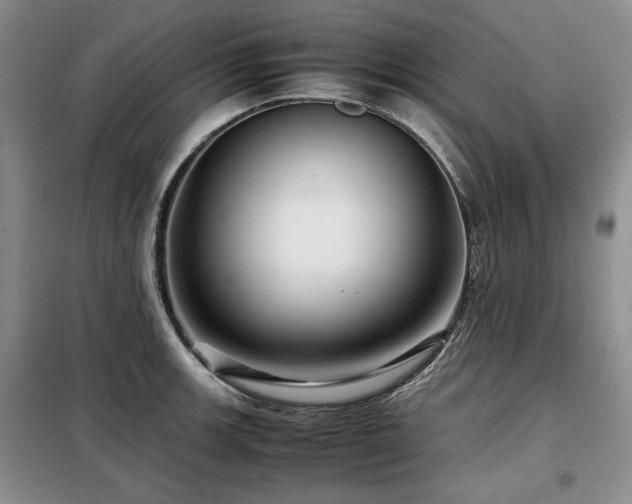 X0000099311139200805021308