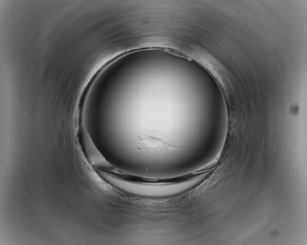 X0000099311140200805021308